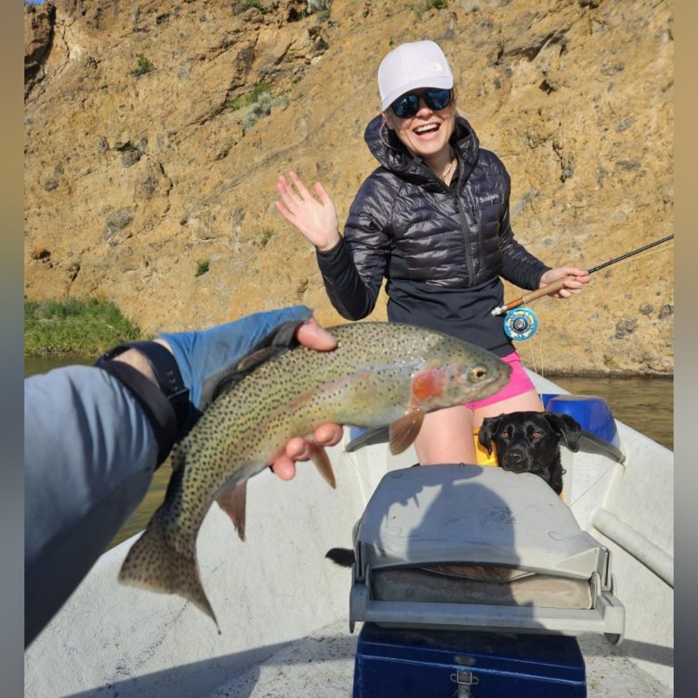 Meet your Posher, Suzie